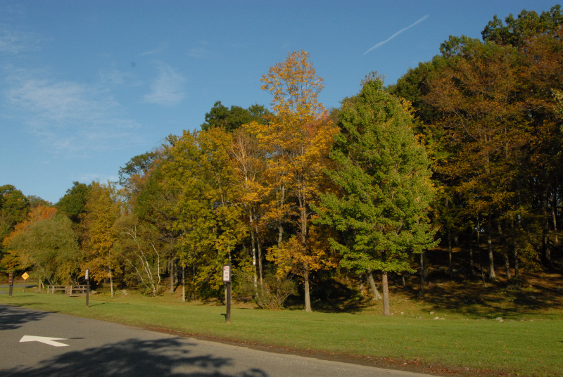 Landscape1_040