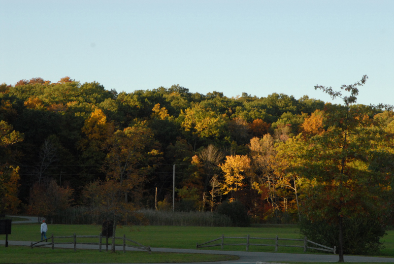 Landscape1_044