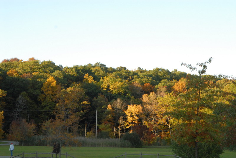 Landscape1_045