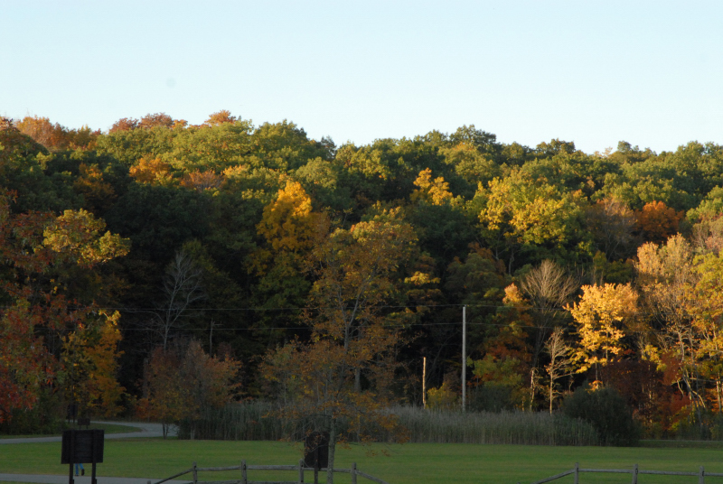 Landscape1_046