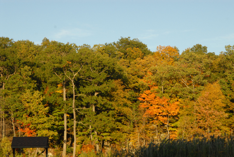 Landscape1_047