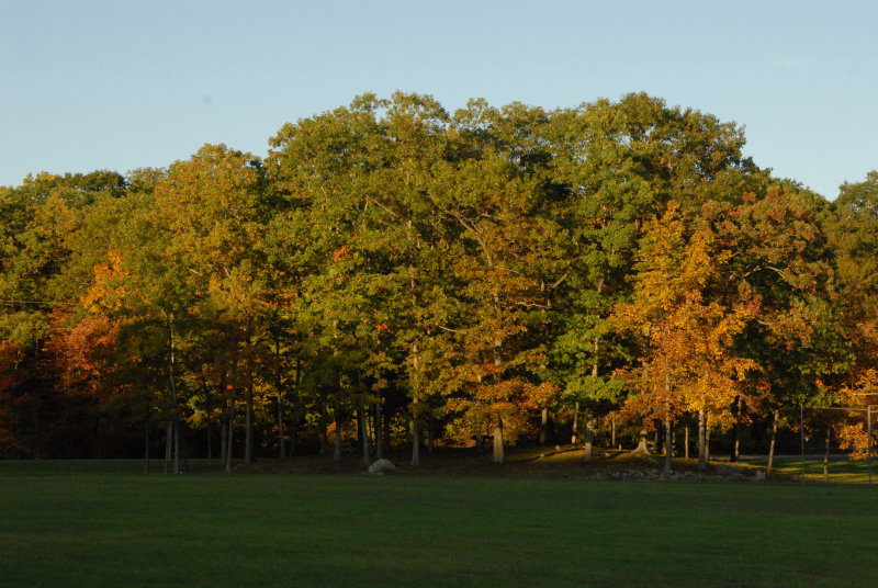Landscape1_048