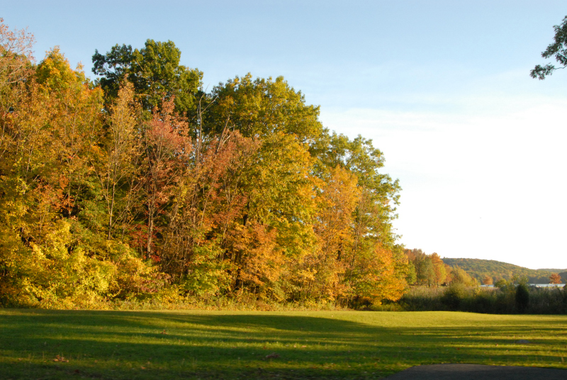 Landscape1_051