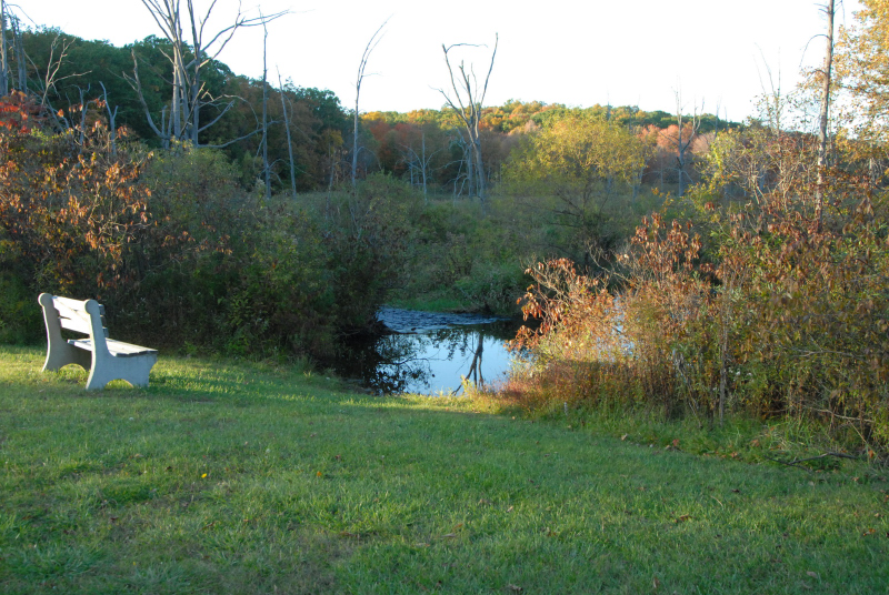 Landscape1_055