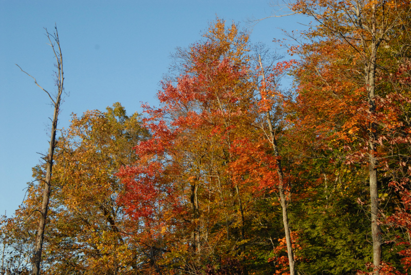 Landscape1_057