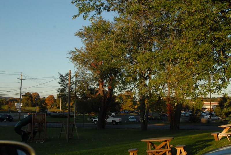 Landscape1_062