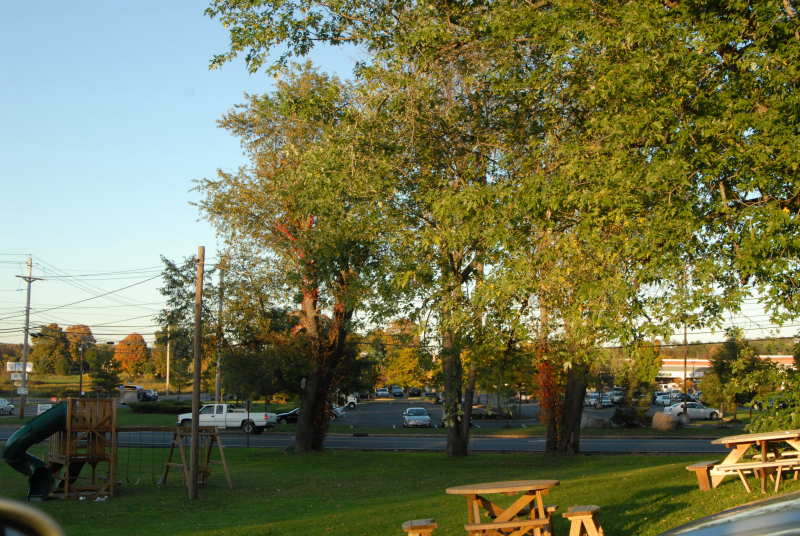 Landscape1_063