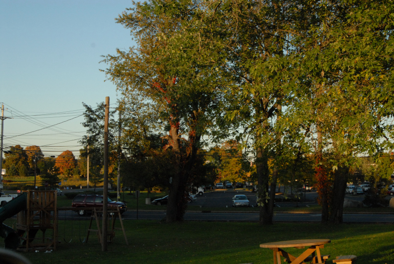 Landscape1_064