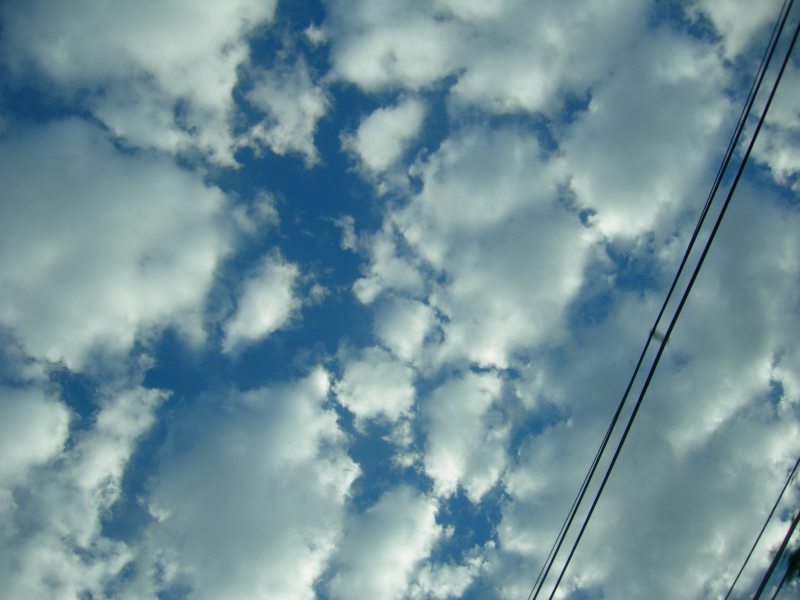 Landscape1_065