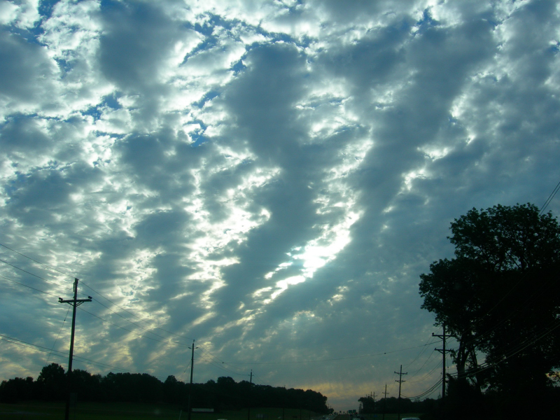 Landscape1_066