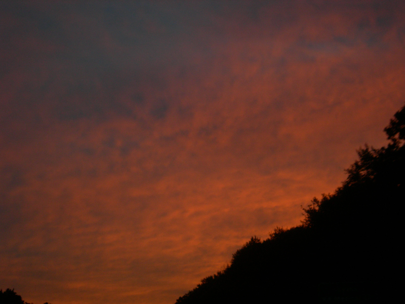 Landscape1_068