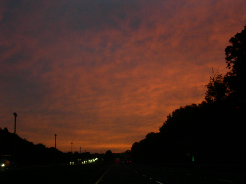 Landscape1_069