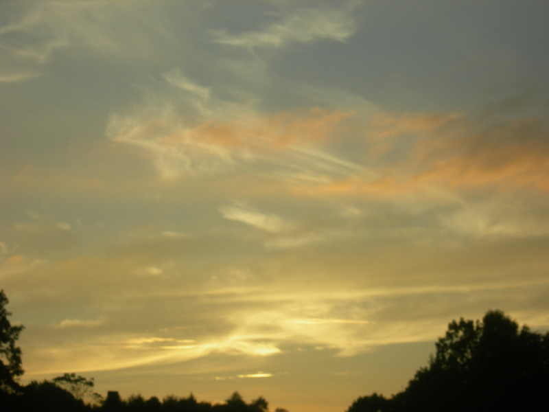 Landscape1_074