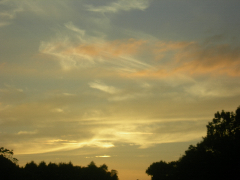 Landscape1_076
