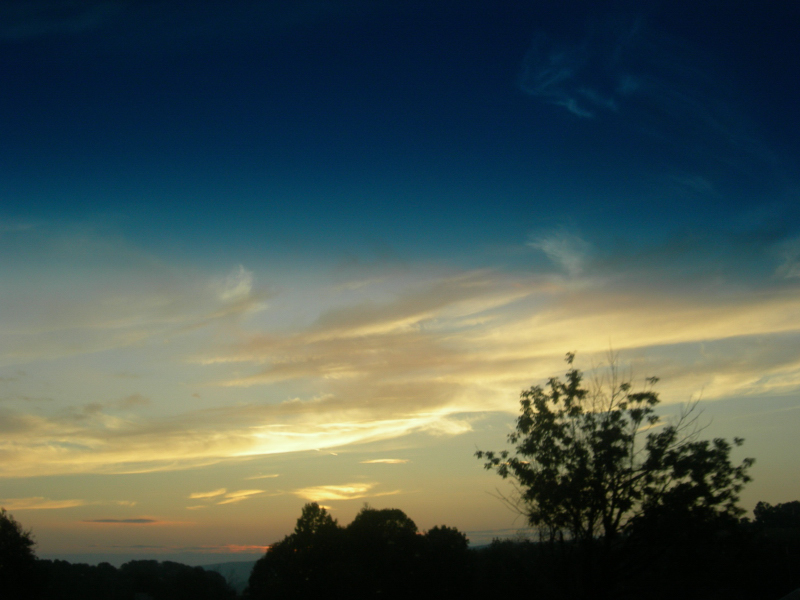 Landscape1_078