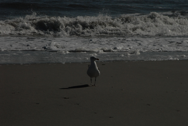 Landscape2_023