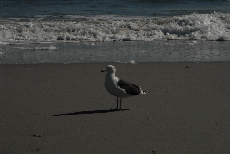 Landscape2_037