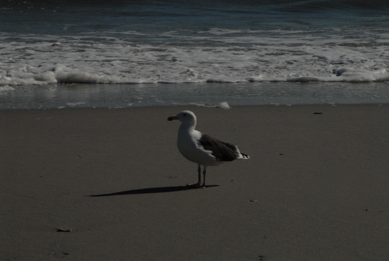 Landscape2_039