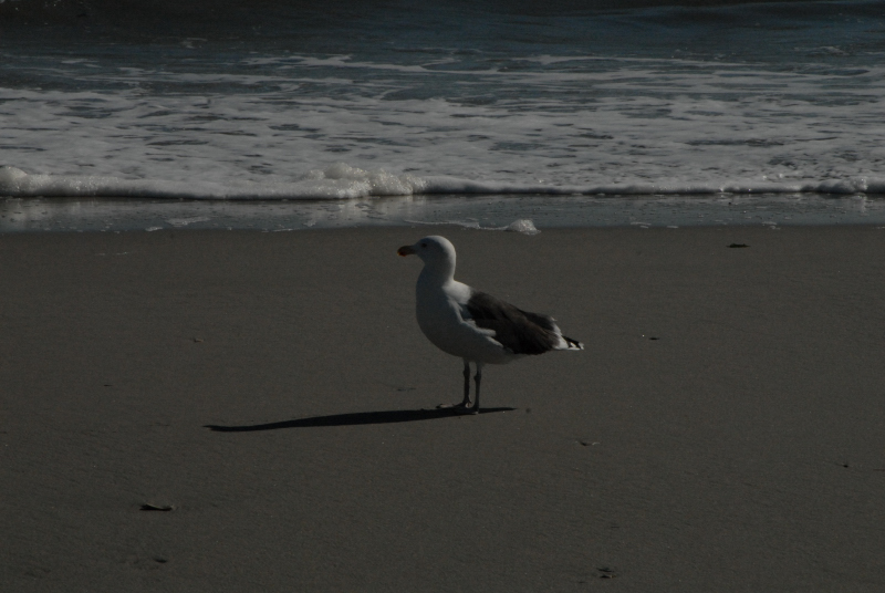 Landscape2_041
