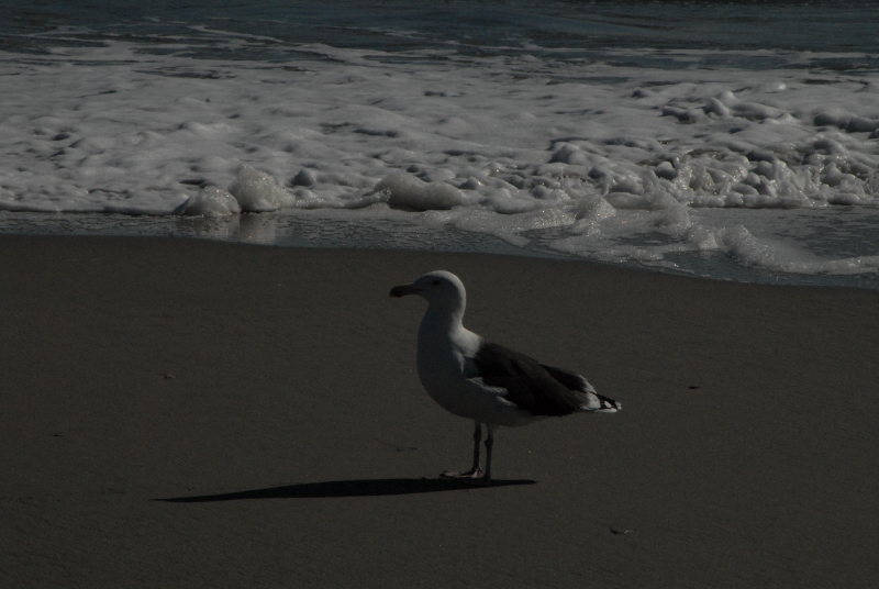 Landscape2_047