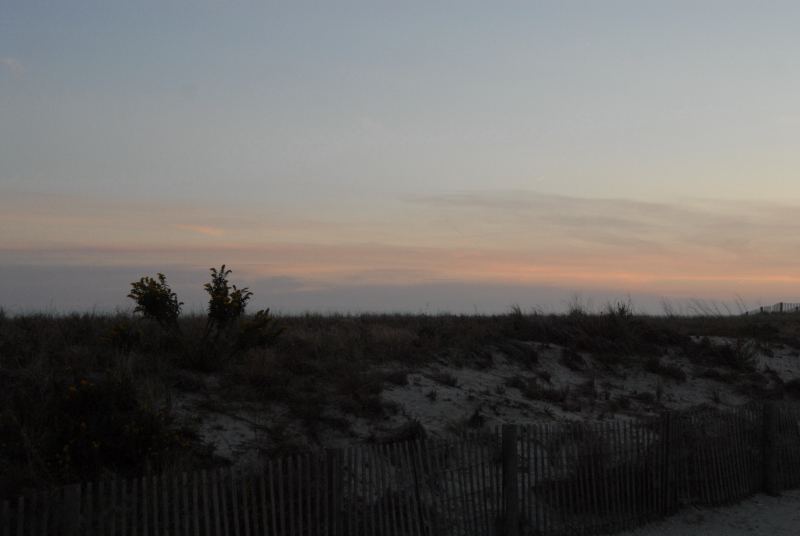 Landscape2_082