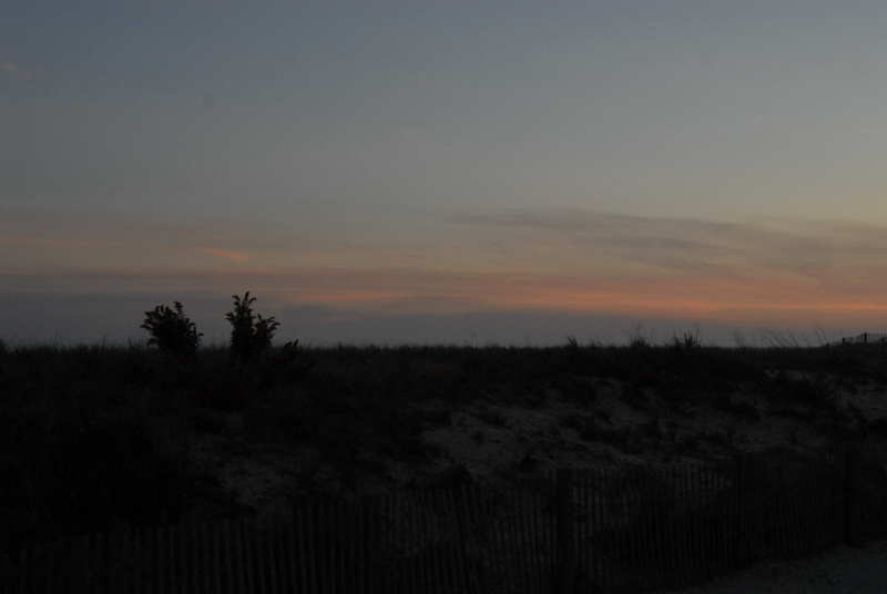 Landscape2_083