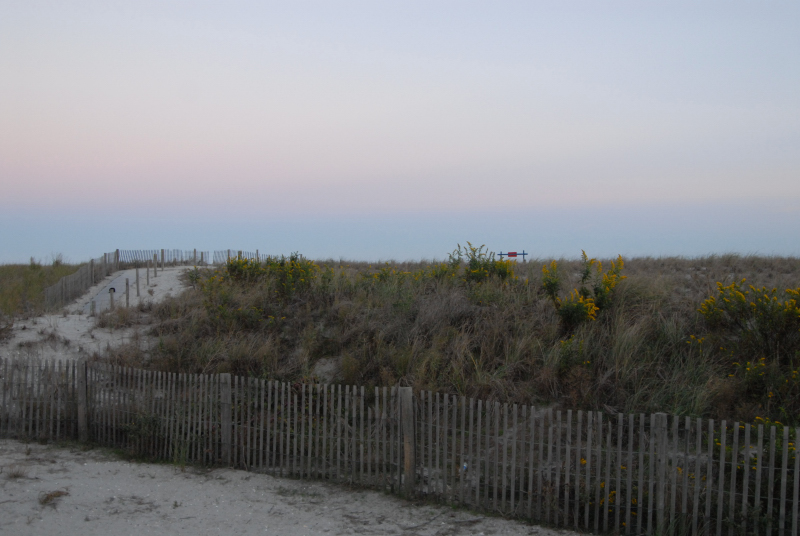 Landscape2_084
