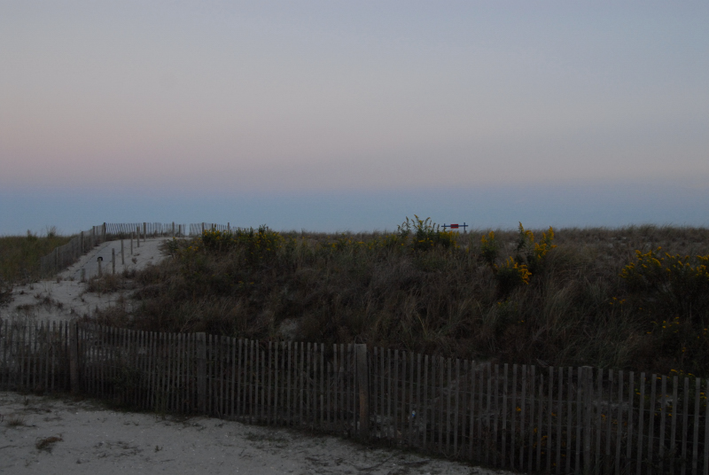 Landscape2_085