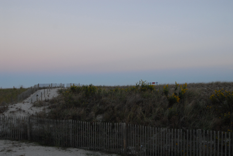 Landscape2_086