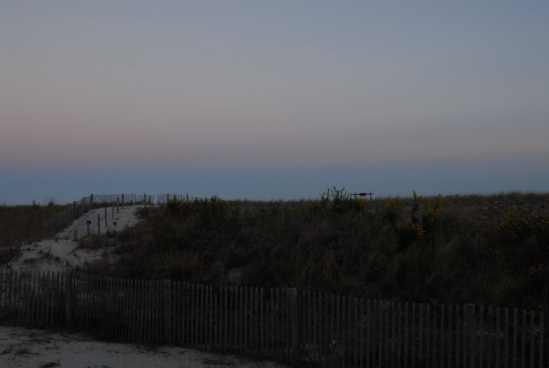 Landscape2_087