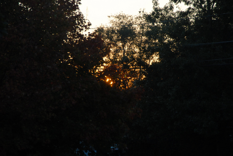 Landscape2_088