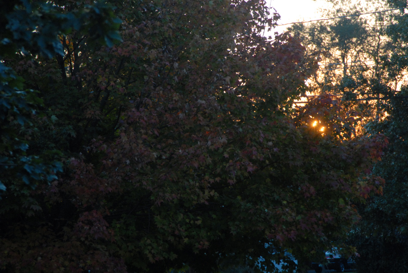 Landscape2_089
