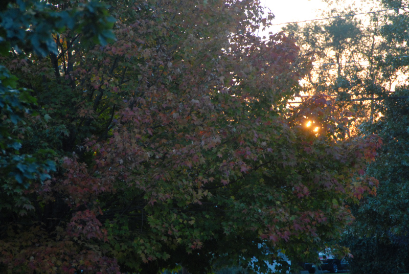 Landscape2_090