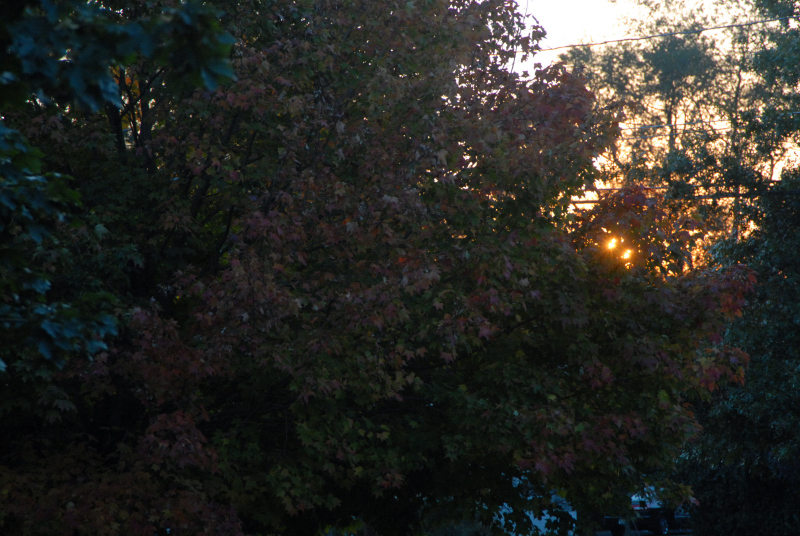 Landscape2_091