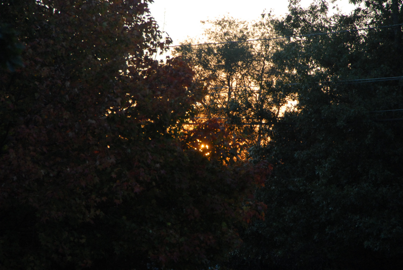 Landscape2_092