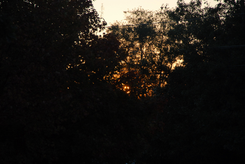 Landscape2_093