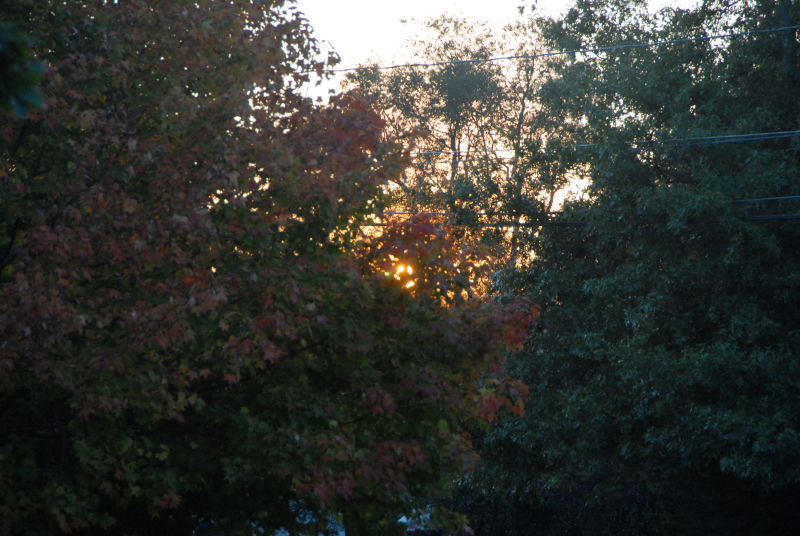 Landscape2_094