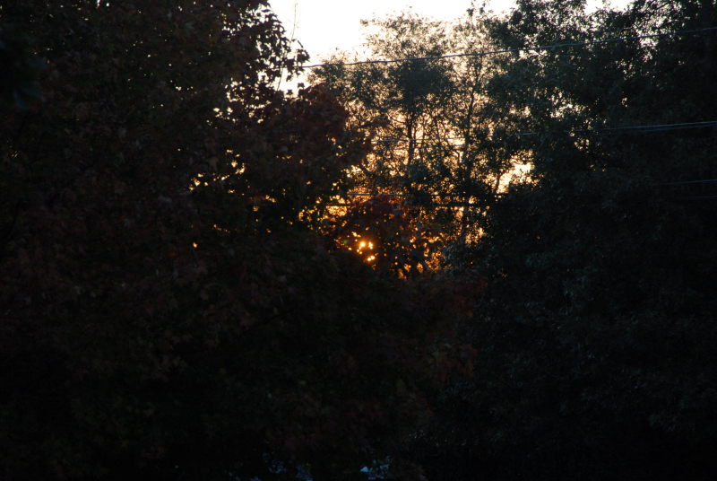 Landscape2_095