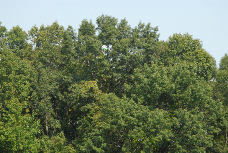 Landscape2_099
