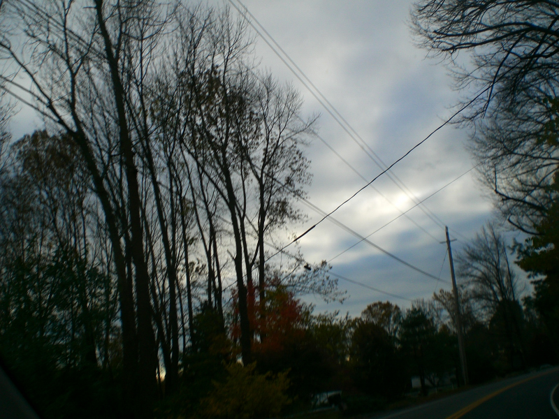 Landscape3_001