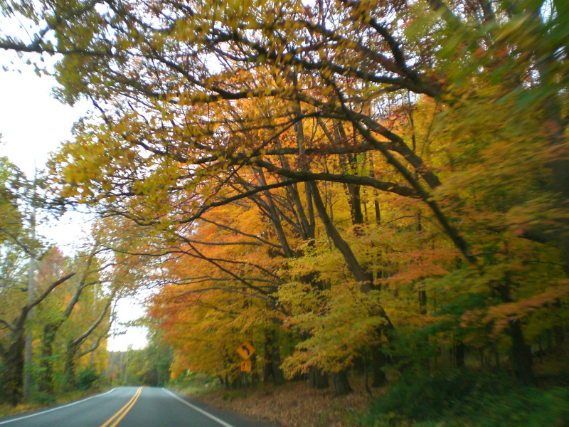 Landscape3_002
