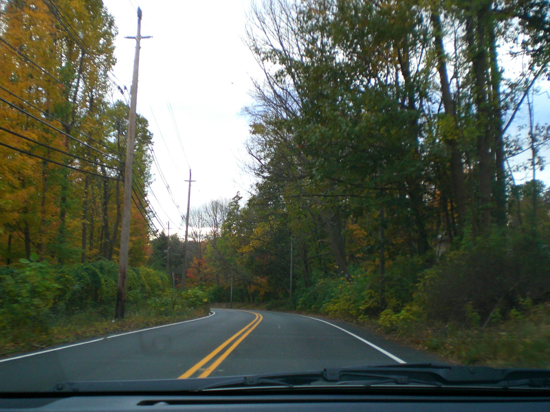 Landscape3_003