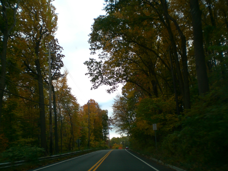 Landscape3_004