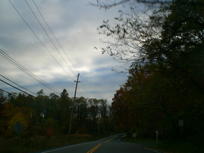 Landscape3_006
