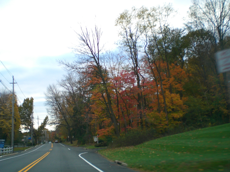 Landscape3_007