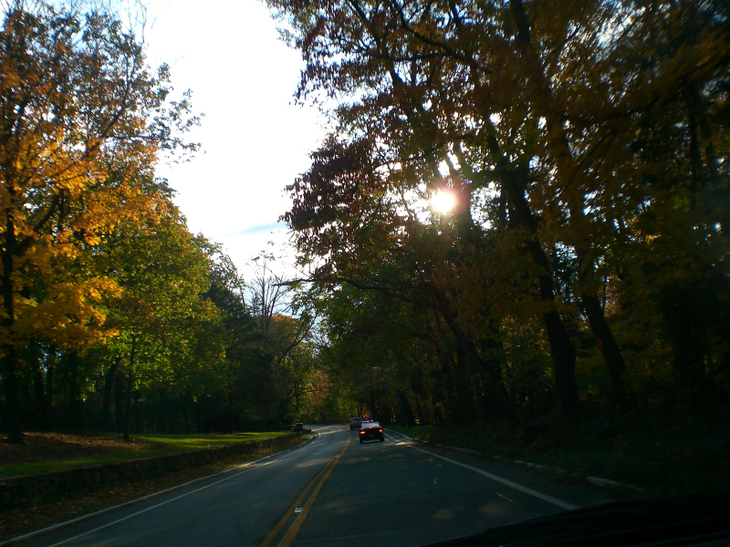 Landscape3_010