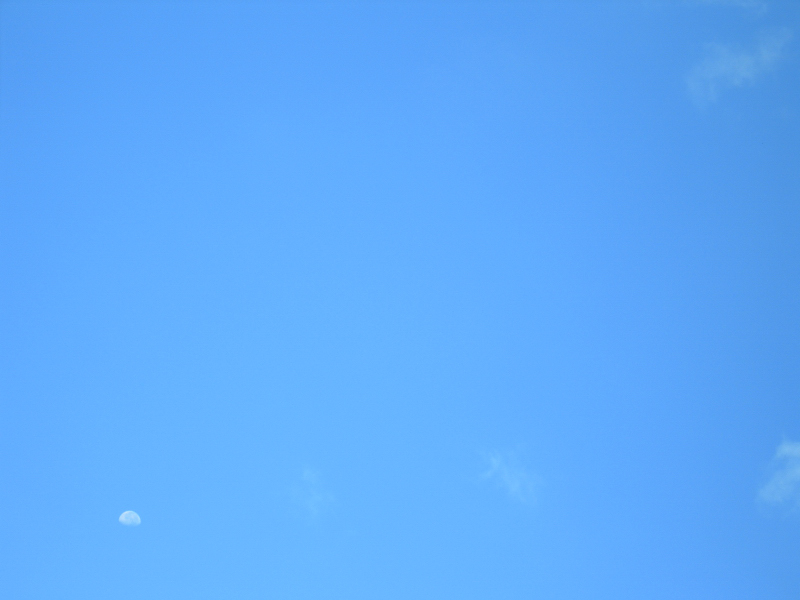 a0001