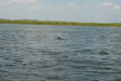 2007-08-03_10015