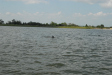 2007-08-03_10080