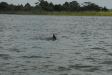 2007-08-03_10087